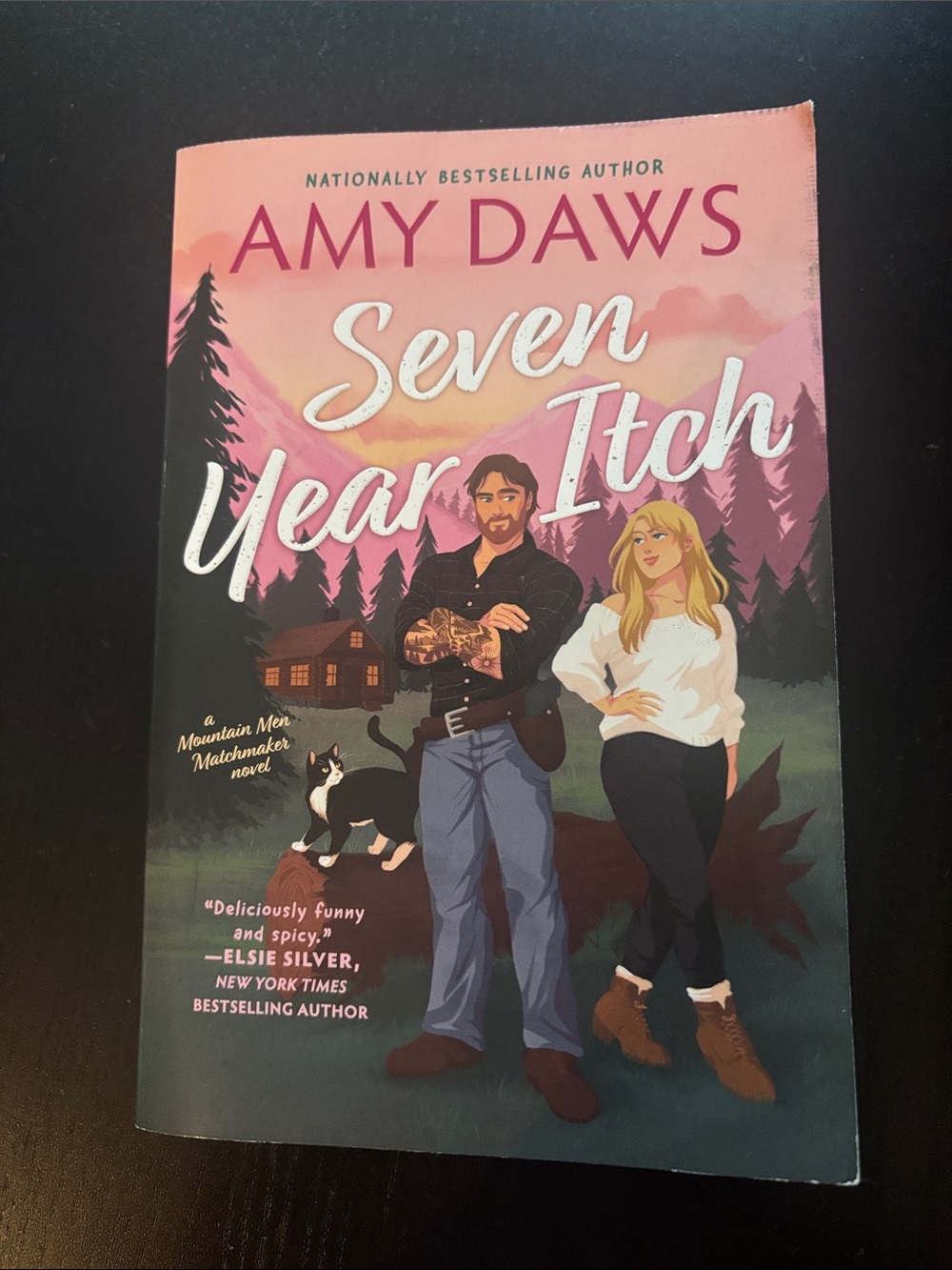 Amy Daws "Seven Year Itch" Paperback - Pink/Peach Cover